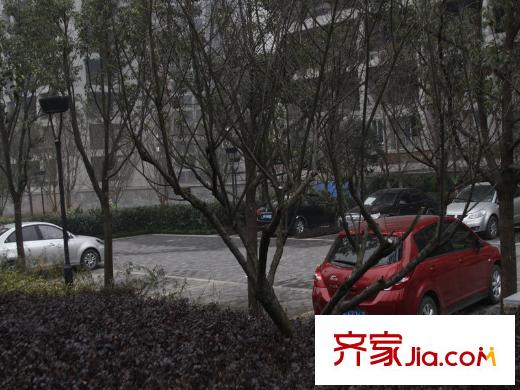 樂信愛琴嶼周邊街道實景