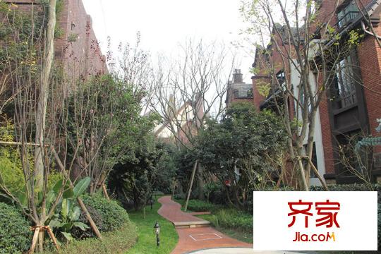 國博城小區(qū)內(nèi)部實(shí)景（2015-10-15）