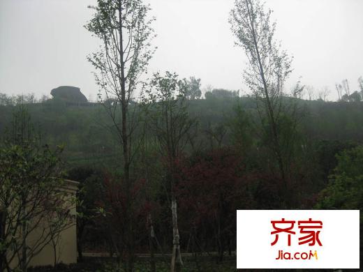 重慶桃源居國(guó)際花園小區(qū)綠化（2012-4-11）