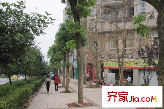 重慶桃源居國際花園周邊商業(yè)街