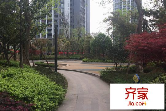 興茂盛世國際一期小區(qū)內(nèi)（2015.3）