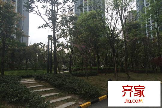 興茂盛世國際一期小區(qū)內(nèi)（2015.3）
