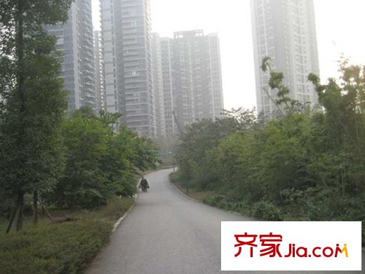 興茂盛世國際項(xiàng)目周邊彩云湖公園