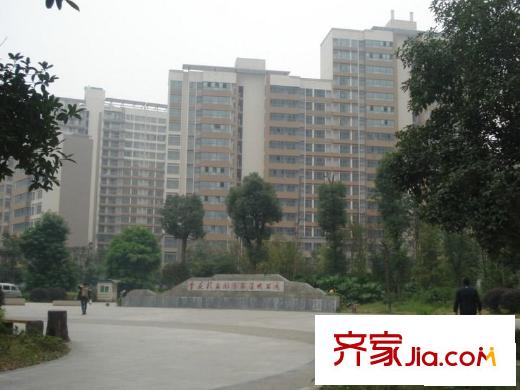 興茂盛世國際周邊公園