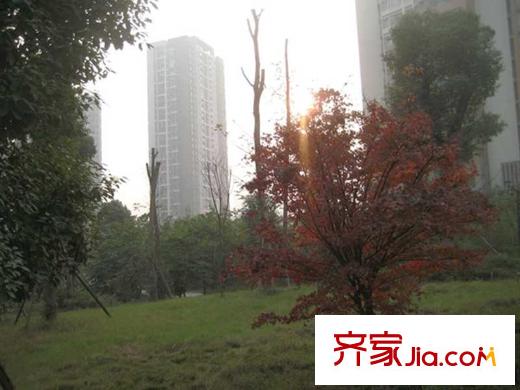 興茂盛世國際項(xiàng)目周邊彩云湖公園