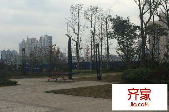 興茂盛世國際一期小區(qū)內(nèi)（2015.3）