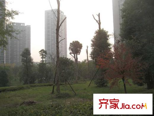 興茂盛世國際項目周邊彩云湖公園