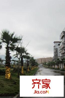 光亮天潤(rùn)城小區(qū)實(shí)景（2015-09）