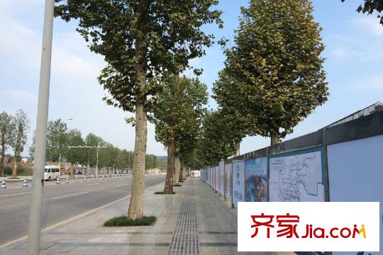 公園大道北側(cè)同茂大道