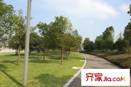 公園大道西側(cè)中央公園