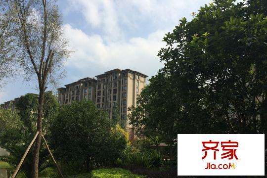 隆鑫愛琴海小區(qū)景觀實景（2015-9）