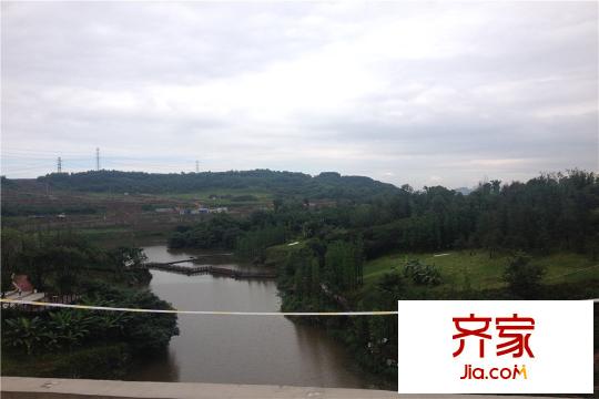 約克郡小區(qū)景觀實景（2015-6）