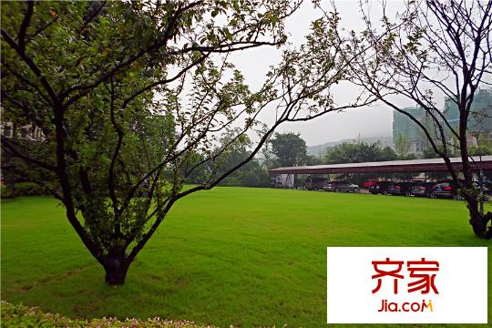 協(xié)信星都會(huì)小區(qū)綠化