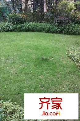 象嶼兩江公元小區(qū)綠化