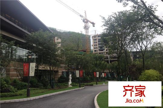 約克郡小區(qū)景觀實景（2015-6）