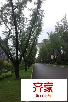 約克郡小區(qū)景觀實景（2015-6）