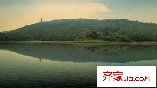約克郡周邊照母山森林公園