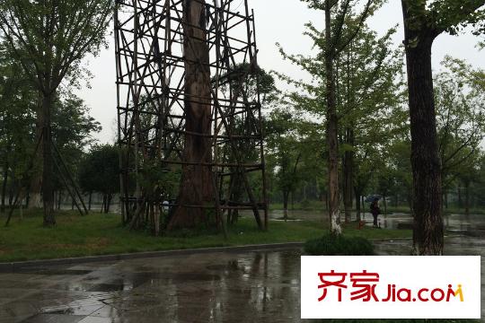 旅文中央大街周邊公園景觀