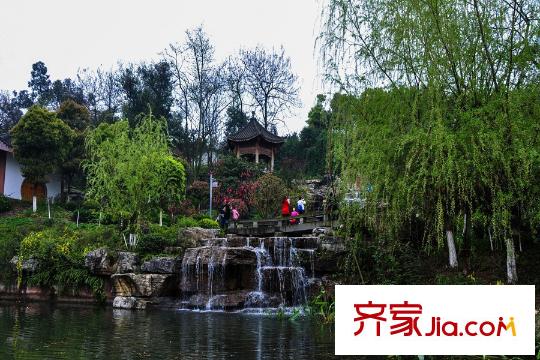 世茂茂悅府高層周邊照母山森林公園