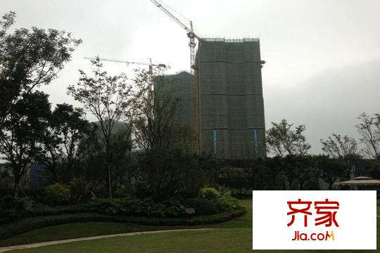 世茂茂悅府高層項(xiàng)目工程進(jìn)度圖（2015-11）