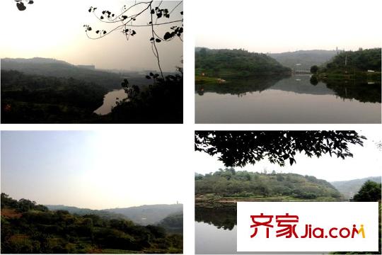 世茂茂悅府高層周邊照母山森林公園