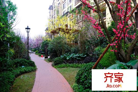 奧園國際城小區(qū)實景（2015-03-26）