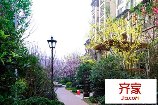 奧園國際城小區(qū)實景（2015-03-26）