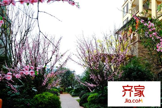 奧園國際城小區(qū)實景（2015-03-26）