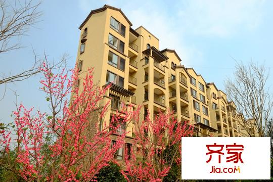 奧園國際城小區(qū)實(shí)景（2015-03-26）