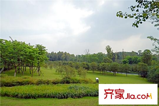 金茂國際生態(tài)新城周邊中央公園