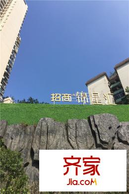 招商錦星匯售樓部外草坪（2015.11）