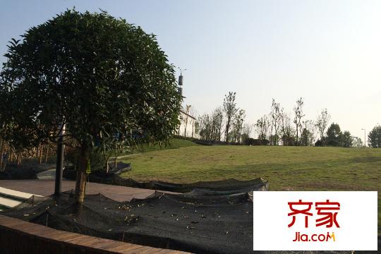 鵬潤(rùn)悅秀上東售樓部綠化實(shí)景（2015-9）