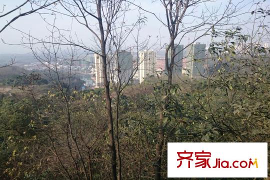 融創(chuàng)凡爾賽領(lǐng)館周邊照母山公園