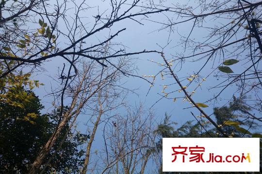 融創(chuàng)凡爾賽領(lǐng)館周邊照母山公園