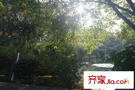 融創(chuàng)凡爾賽領(lǐng)館周邊照母山公園