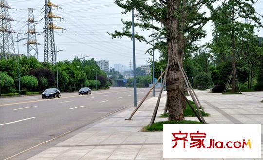 華宇龍灣項(xiàng)目周邊巴濱路