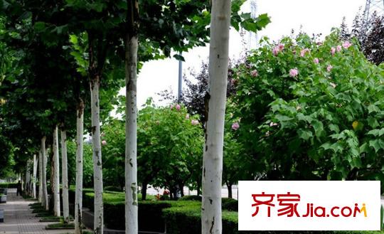 華宇龍灣項目周邊巴濱路