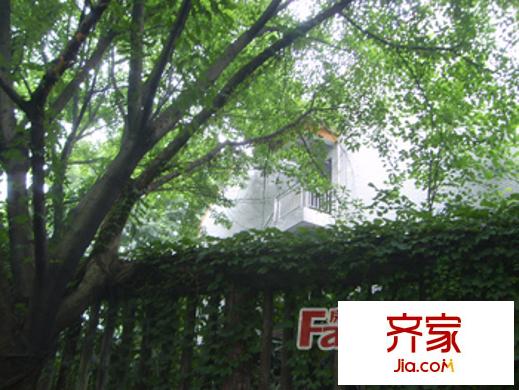 榕湖國(guó)際花園外景圖5