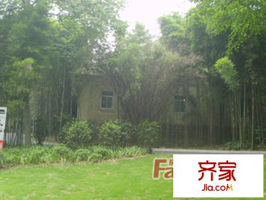 榕湖國際花園外景圖9