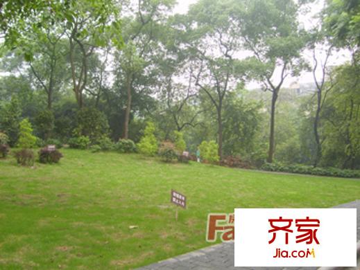 榕湖國(guó)際花園外景圖3