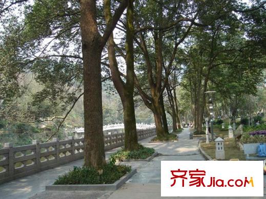 小泉森林海配套圖周邊南溫泉公園