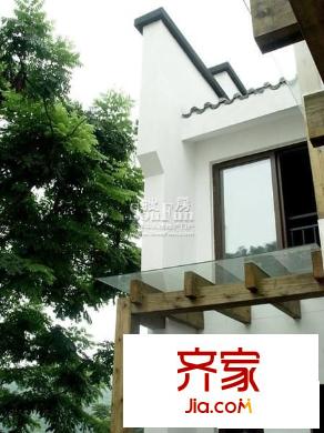 小泉森林海外景圖 