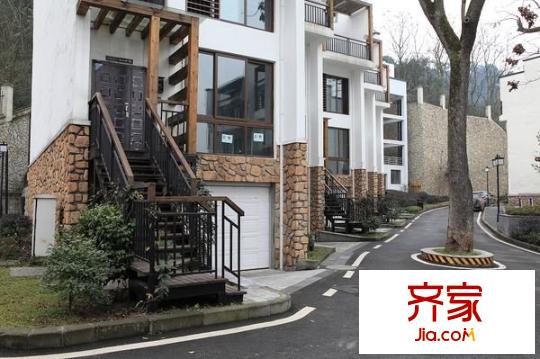 小泉森林海外景圖 