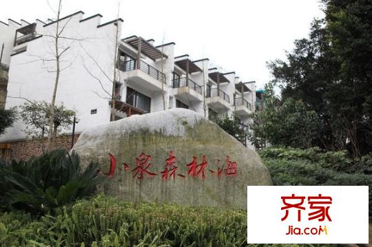小泉森林海外景圖 