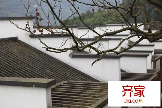 小泉森林海外景圖 