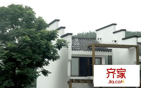 小泉森林海外景圖 