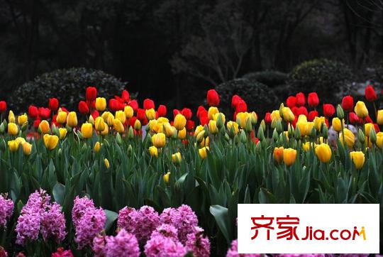 小泉森林海配套圖周邊南溫泉公園