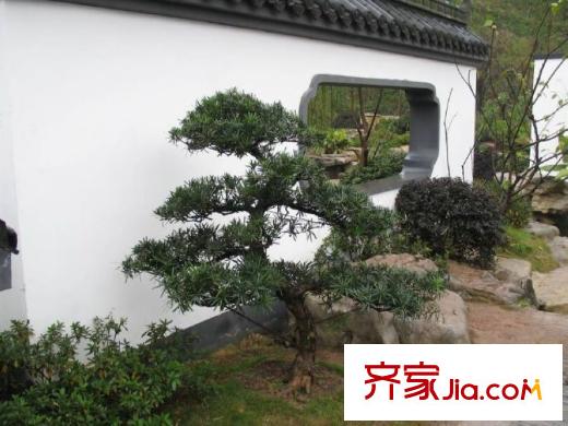 美利山十五莊園配套圖周邊園博園