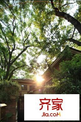 保利小泉別墅實景圖社區(qū)園林實景（2012.4）