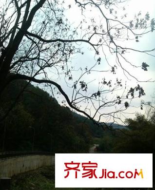 保利小泉別墅配套圖周邊南溫泉公園